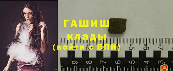 тгк Бородино