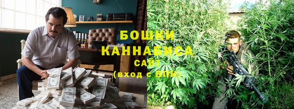 тгк Бородино