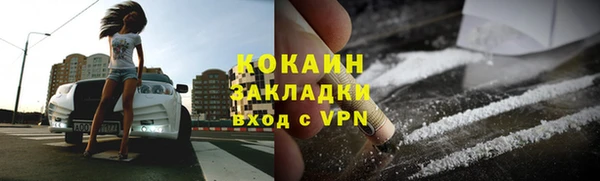 тгк Бородино