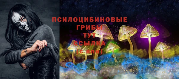 тгк Бородино