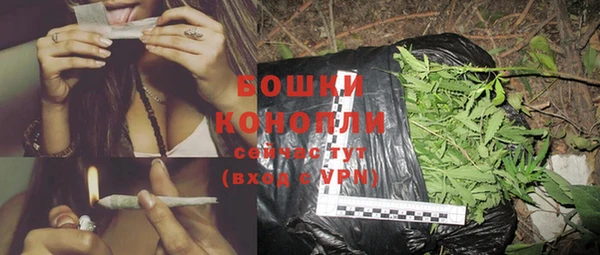 тгк Бородино