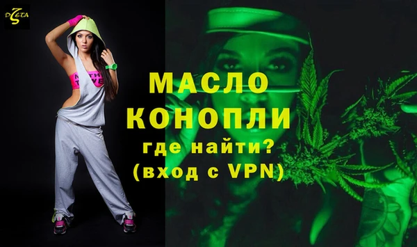 тгк Бородино