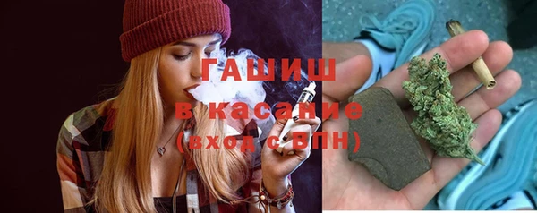 тгк Бородино
