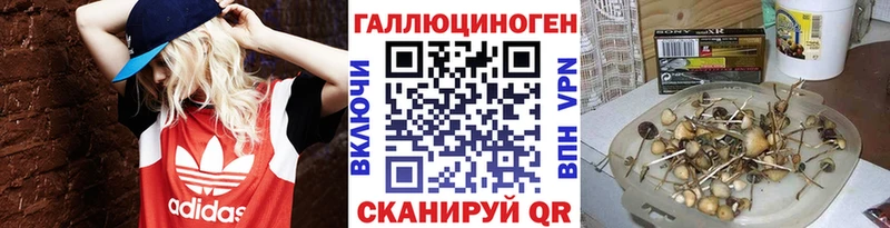 omg вход  Новомичуринск  Галлюциногенные грибы Psilocybine cubensis 